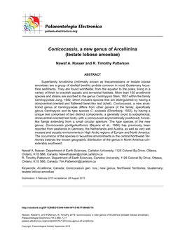 Conicocassis, a New Genus of Arcellinina (Testate Lobose Amoebae)