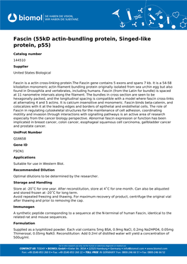 Fascin (55Kd Actin-Bundling Protein, Singed-Like Protein, P55)