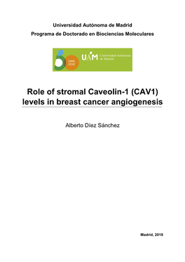 Role of Stromal Caveolin-1 (CAV1) Levels in Breast Cancer Angiogenesis