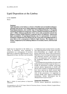 Lipid Deposition at the Limbus