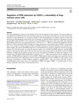 Regulation of PERK Expression by FOXO3: a Vulnerability of Drug- Resistant Cancer Cells