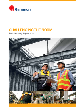 CHALLENGING the NORM Sustainability Report 2014 SCOPE of the REPORT