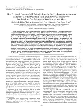 Site-Directed Amino Acid Substitutions in the Hydroxylase