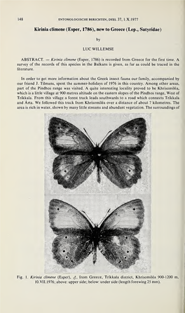 Kirinia Climene (Esper, 1786), New to Greece (Lep., Satyridae)