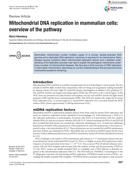 Mitochondrial DNA Replication in Mammalian Cells: Overview of the Pathway