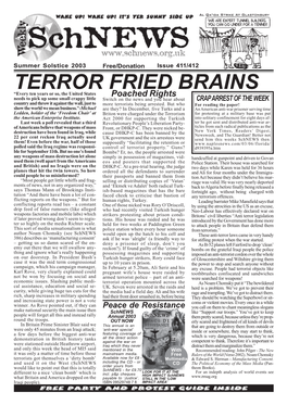 Terror Fried Brains