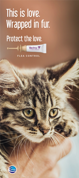 Vectra® for Cats & Kittens and Vectra® for Cats