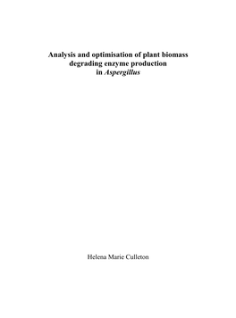 Analysis and Optimisation of Plant Biomass Degrading Enzyme Production in Aspergillus