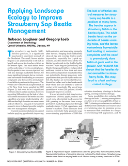Applying Landscape Ecology to Improve Strawberry Sap Beetle