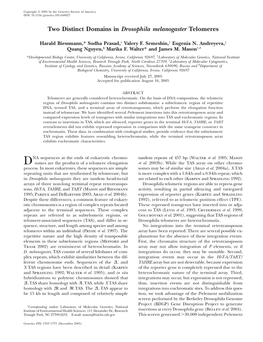 Two Distinct Domains in Drosophila Melanogaster Telomeres