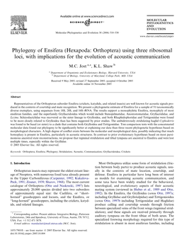 Phylogeny of Ensifera (Hexapoda: Orthoptera) Using Three Ribosomal Loci, with Implications for the Evolution of Acoustic Communication