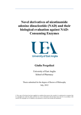 Novel Derivatives of Nicotinamide Adenine Dinucleotide (NAD) and Their Biological Evaluation Against NAD- Consuming Enzymes