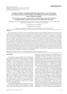 A Possible Method for Improving the Conservation Status of a Ellisella