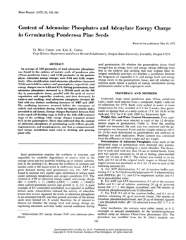 Content of Adenosine Phosphates and Adenylate Energy Charge in Germinating Ponderosa Pine Seeds