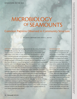 Microbiology of Seamounts Is Still in Its Infancy