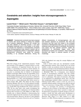 Insights from Microsporogenesis in Asparagales