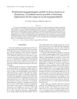 Proliferated Megasporangiate Strobili of Zamia Furfuracea (Zamiaceae, Cycadales) and Its Possible Evolutionary Implications for the Origin of Cycad-Megasporophylls