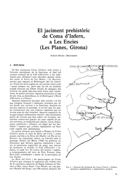El Jaciment Prehistoric De Coma D'infern, a Les Encies (Les Planes, Girona)