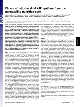 Dimers of Mitochondrial ATP Synthase Form the Permeability Transition Pore