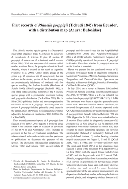 First Records of Rhinella Poeppigii (Tschudi 1845) from Ecuador, with a Distribution Map (Anura: Bufonidae)