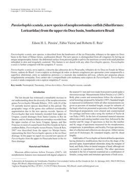 Siluriformes: Loricariidae) from the Upper Rio Doce Basin, Southeastern Brazil