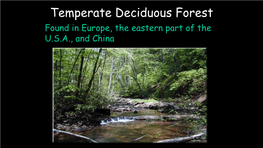 Temperate Deciduous Forest