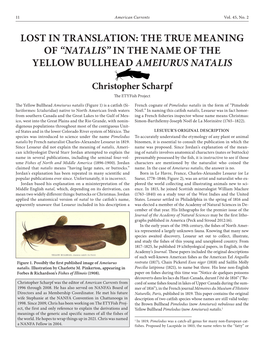 Natalis” in the Name of the Yellow Bullhead Ameiurus Natalis Christopher Scharpf