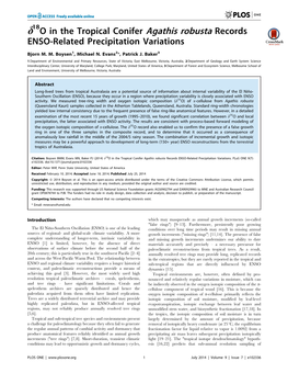 O in the Tropical Conifer Agathis Robusta Records ENSO-Related Precipitation Variations