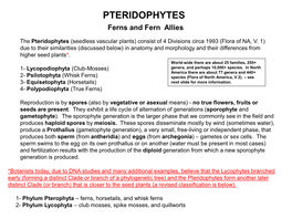 Ferns and Fern Allies