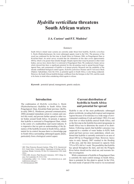 Hydrilla Verticillata Threatens South African Waters