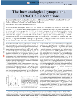 The Immunological Synapse and CD28-CD80 Interactions Shannon K