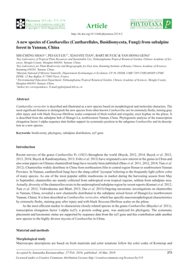 A New Species of Cantharellus (Cantharellales, Basidiomycota, Fungi) from Subalpine Forest in Yunnan, China