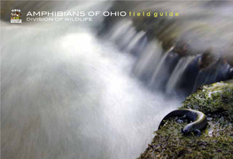 AMPHIBIANS of OHIO F I E L D G U I D E DIVISION of WILDLIFE INTRODUCTION