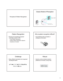 Classic Model of Perception Pattern Recognition Challenge Robust