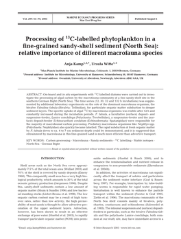 Processing of 13C-Labelled Phytoplankton in a Fine-Grained Sandy-Shelf Sediment (North Sea): Relative Importance of Different Macrofauna Species