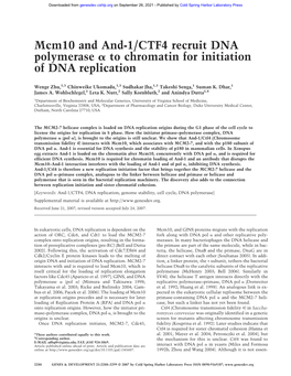 Mcm10 and And-1/CTF4 Recruit DNA Polymerase to Chromatin For