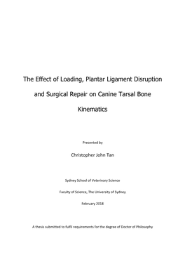 The Effect of Loading, Plantar Ligament Disruption and Surgical