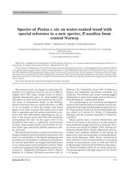 Species of Peziza S. Str. on Water-Soaked Wood with Special Reference to a New Species, P