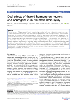 Dual Effects of Thyroid Hormone on Neurons and Neurogenesis