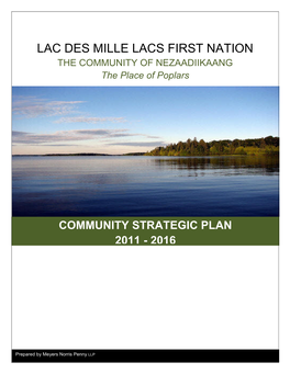 Community Strategic Plan 2011 - 2016