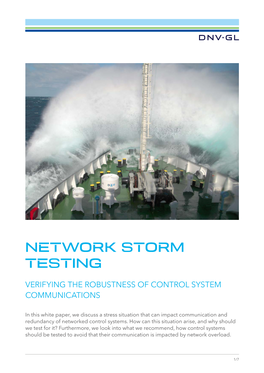 Network Storm Testing