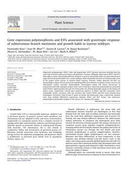 Gene Expression Polymorphisms and Ests Associated with Gravitropic Response of Subterranean Branch Meristems and Growth Habit in Leymus Wildryes