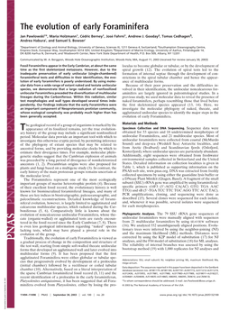 The Evolution of Early Foraminifera