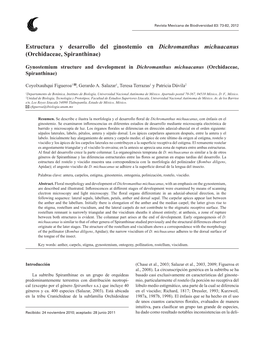 Estructura Y Desarrollo Del Ginostemio En Dichromanthus Michuacanus (Orchidaceae, Spiranthinae)