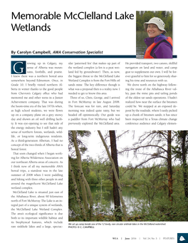 Memorable Mcclelland Lake Wetlands