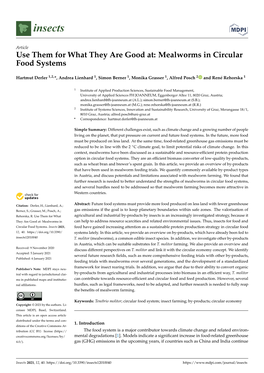 Use Them for What They Are Good At: Mealworms in Circular Food Systems