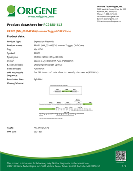RRBP1 (NM 001042576) Human Tagged ORF Clone Product Data