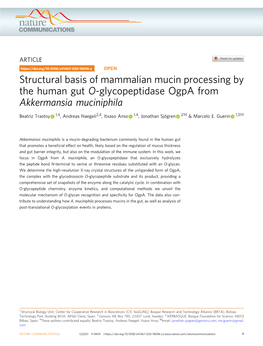 Structural Basis of Mammalian Mucin Processing by the Human Gut O