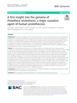 A First Insight Into the Genome of Prototheca Wickerhamii, a Major