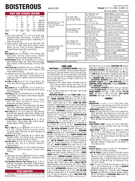 Race and (Stakes) Record Sire Line Family Stud Analysis